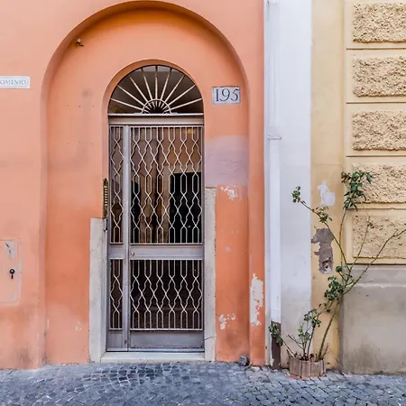 The Ancient Volute *