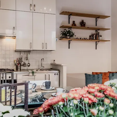 The Ancient Volute Appartement *