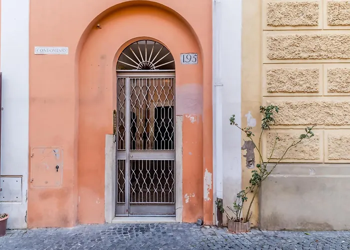 The Ancient Volute *