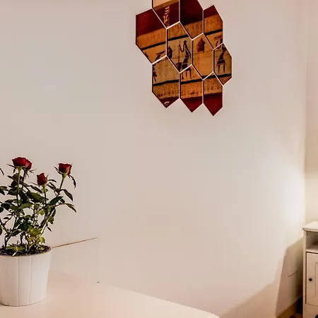 The Ancient Volute Roma