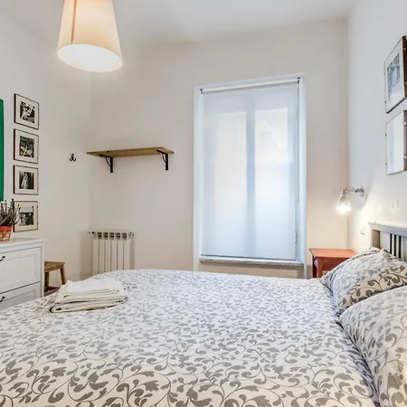 The Ancient Volute *