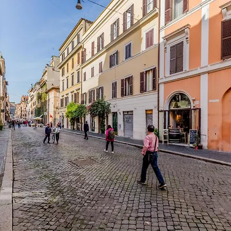 The Ancient Volute Apartamento