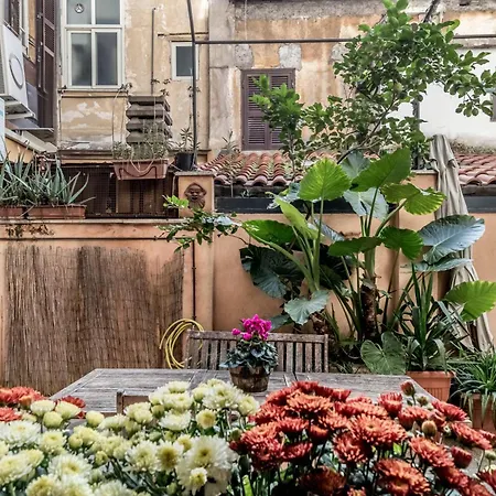 The Ancient Volute * Roma